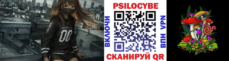 Псилоцибиновые грибы GOLDEN TEACHER  omg   Любим 