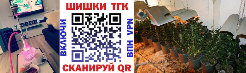 дарнет шоп  Любим  Бошки марихуана сатива 